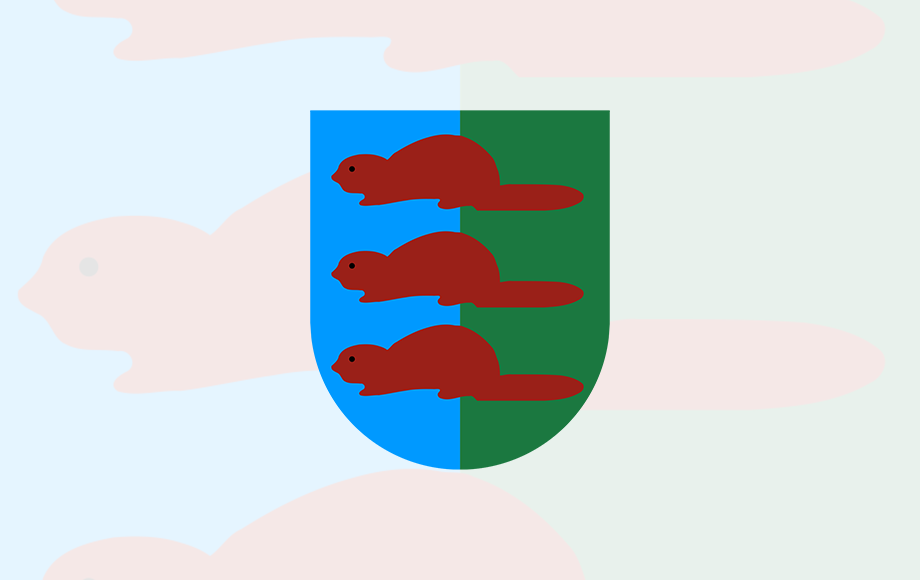 Ograniczenia w przyjmowaniu odpadów gabarytowych w PSZOK