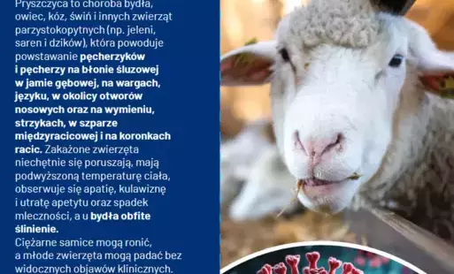 Zdjęcie artykułu z dnia 15-04-2025